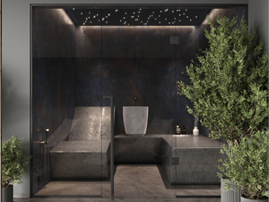 Дизайн-проектирование интерьеров SPA-зон и комплексов и готовые проекты.